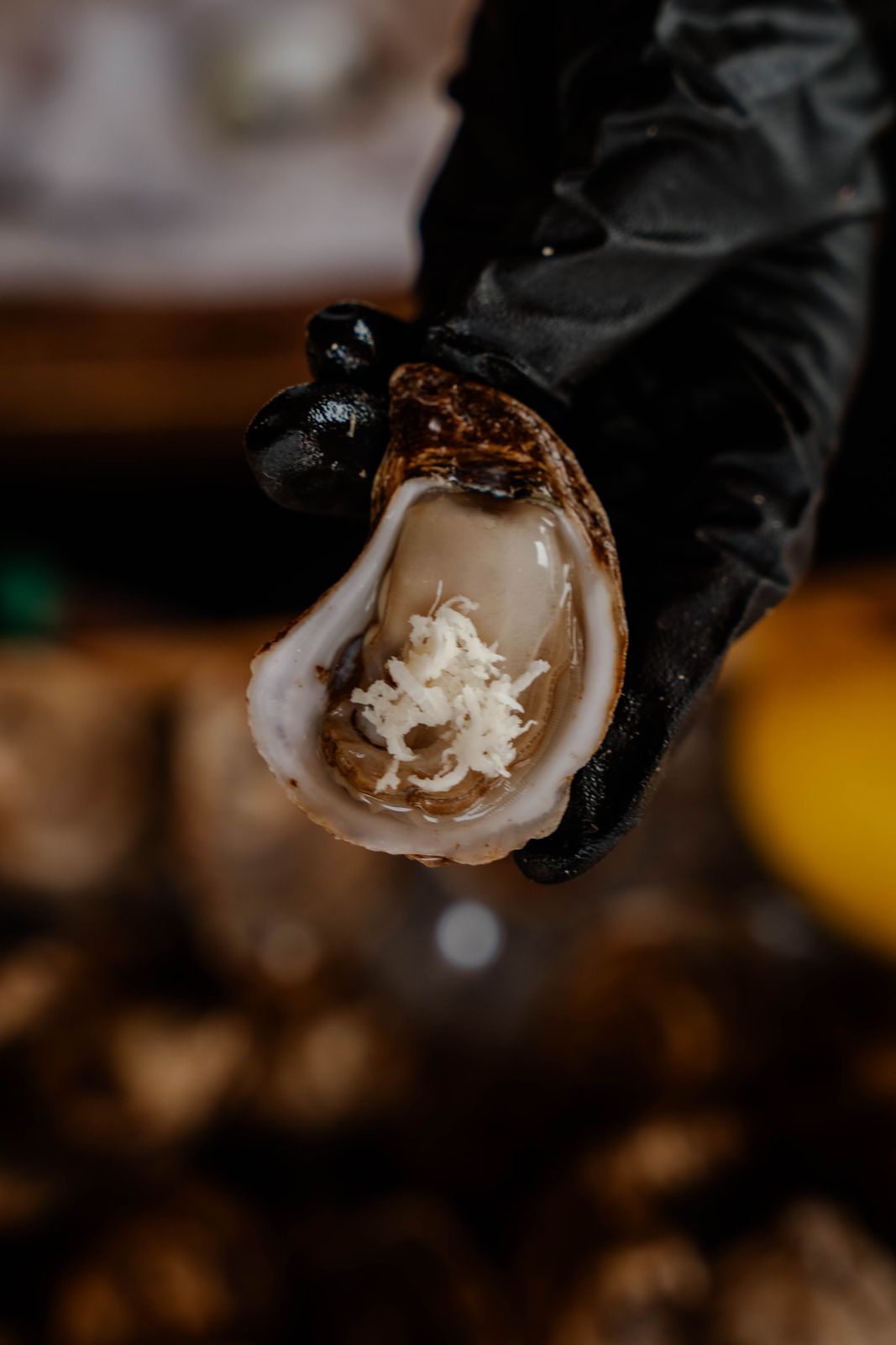 A freshly shucked oyster held up with lemons behind