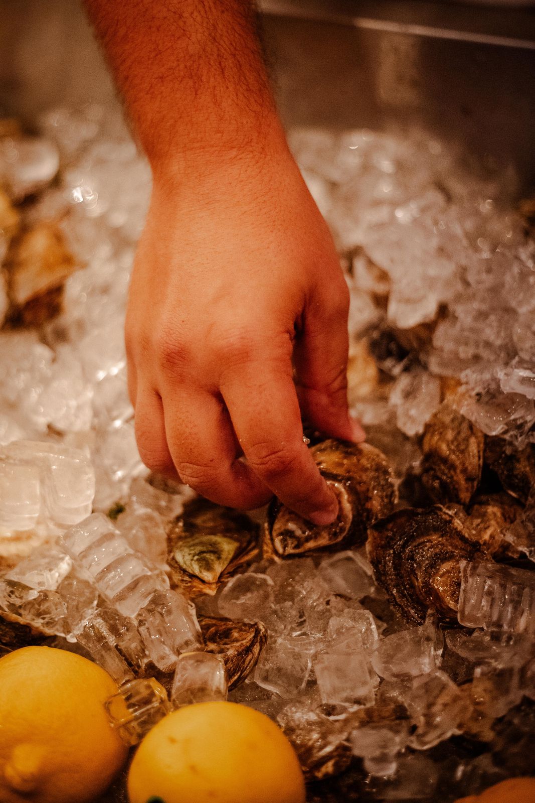 Picking fresh oysters from the ice at Art Crawl