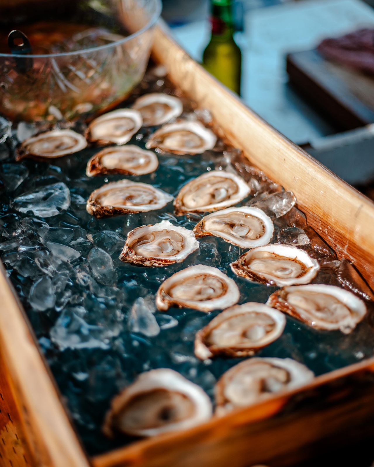 Oysters lined up on ice in the live-edge box