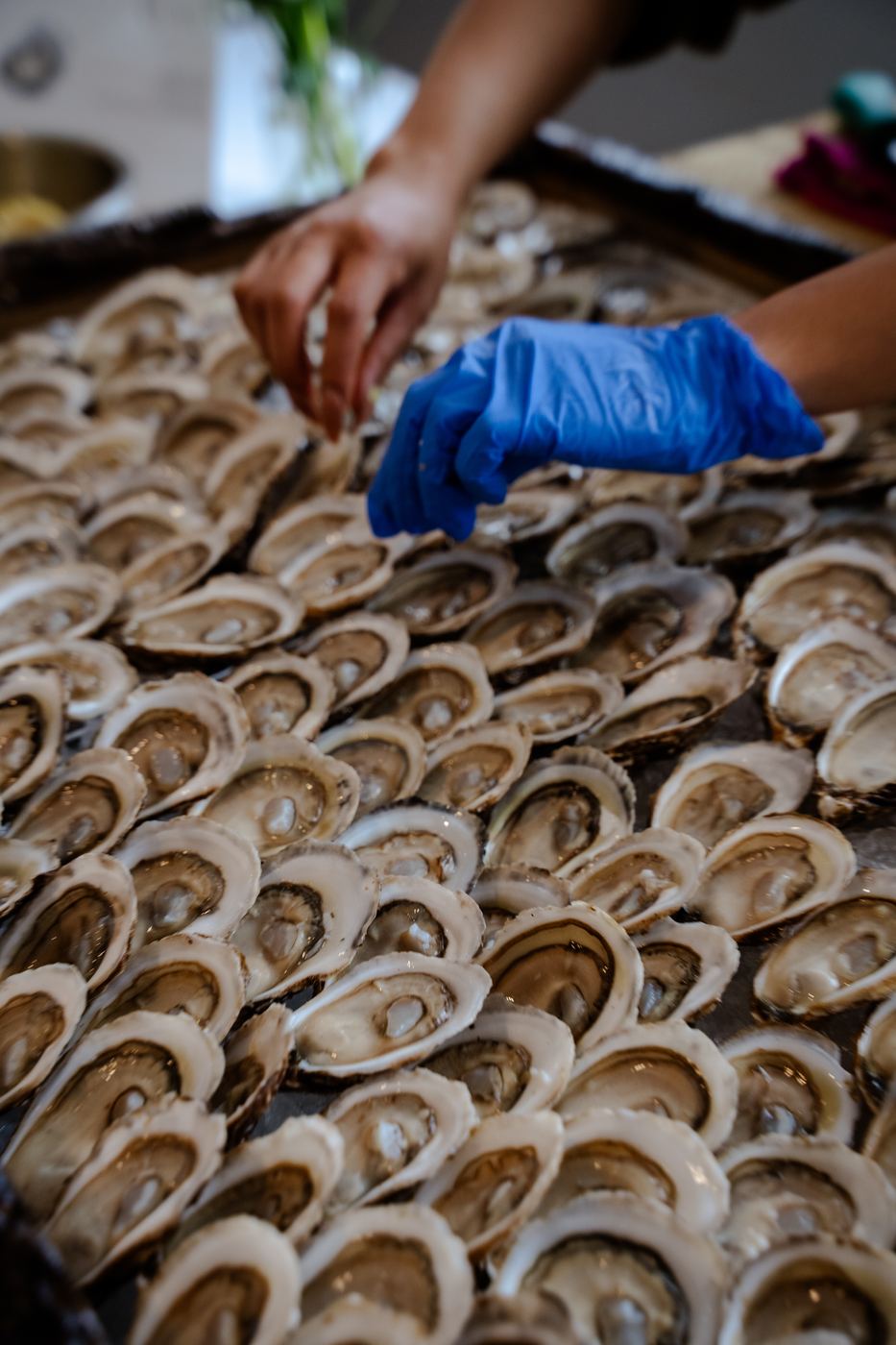 A gloved hand lifting an oyster from the live-edge board