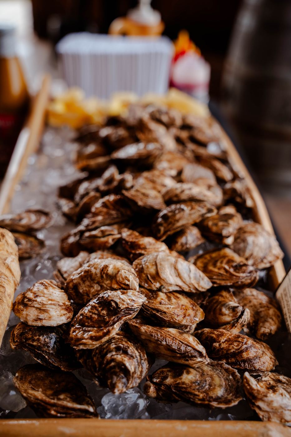 Close up of unshucked oysters on ice in a wooden display