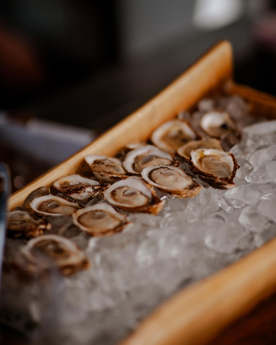 Shucked oysters on crushed ice in the branded wooden raw bar box